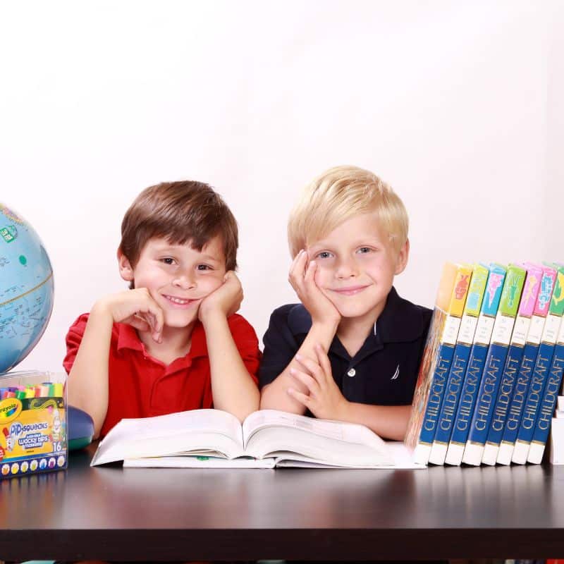 Two Little Boys Studying Together