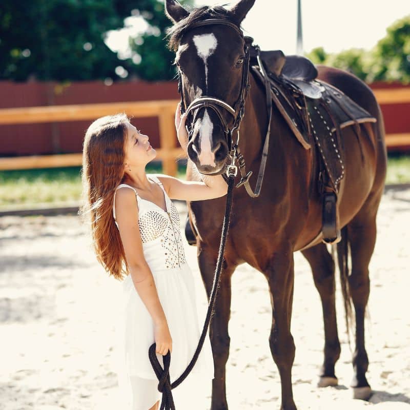 A girl petting a horse